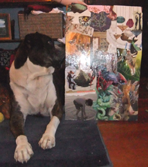Jasper, Jessica's boxer, got as excited as he gets about anything when he saw Jess's masterpiece.