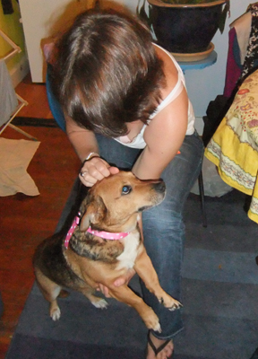 Gidget gets a ribbon collar from Jen. Note: Stapling is like sewing, only quicker.