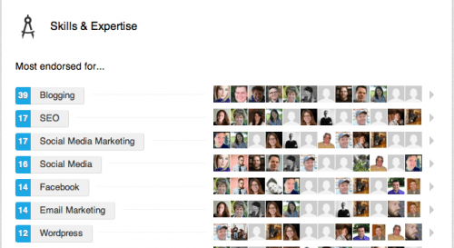 With LinkedIn's new skills endorsements, at a glance you can see that while you might not want me to fix your leaking faucet, you probably can trust me to blog for you.